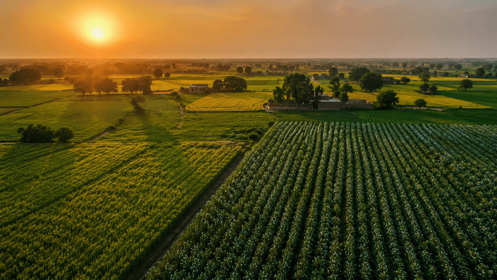 Farmers community in a lush green field